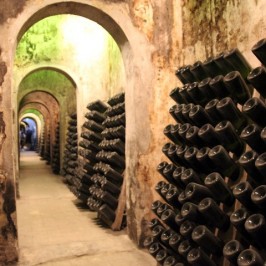 Обзорная экскурсия + поездка на винодельни Рекены с дегустацией вина, шампанского и ликеров