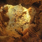 Экскурсия в пещеры Святого Иосифа. Медуза